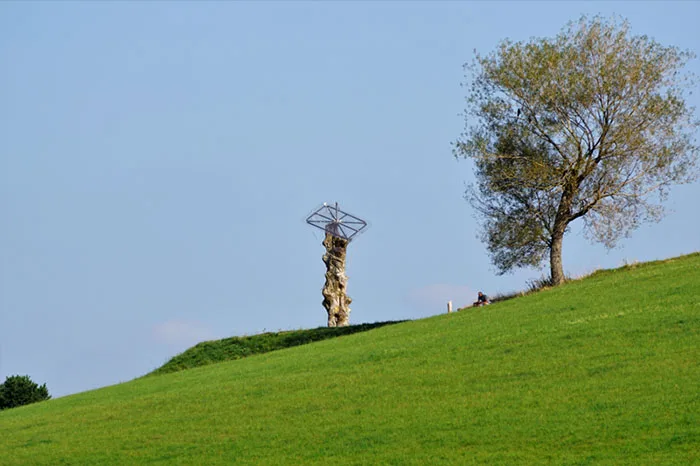 Baum der Erkenntnis